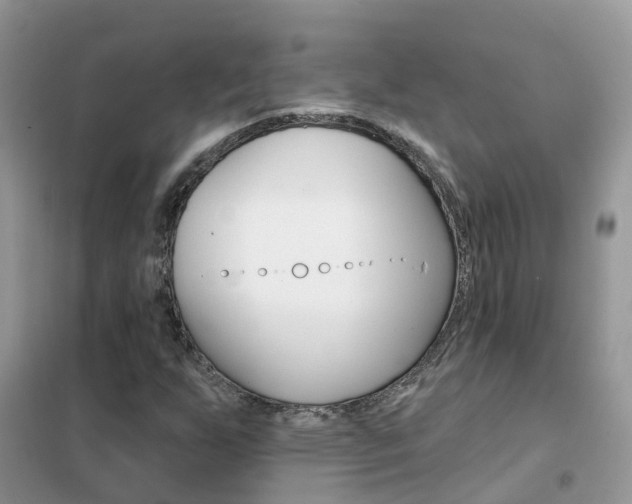 X0000102361255200808010951