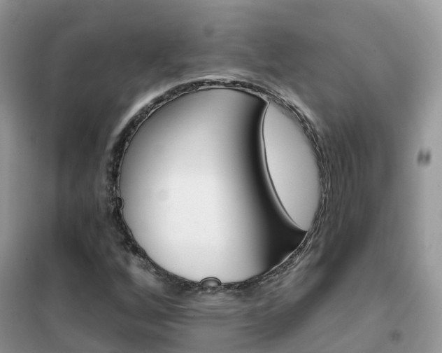 X0000102361256200808010951