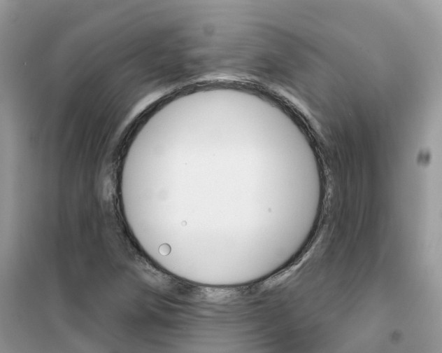 X0000102361258200808010951