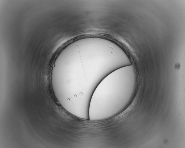 X0000102361259200808010951