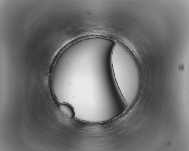 X0000102361260200808010951