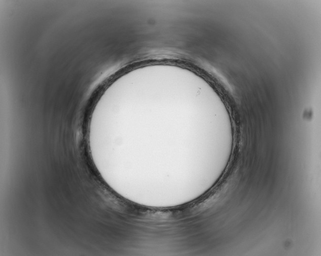 X0000102361261200808010951