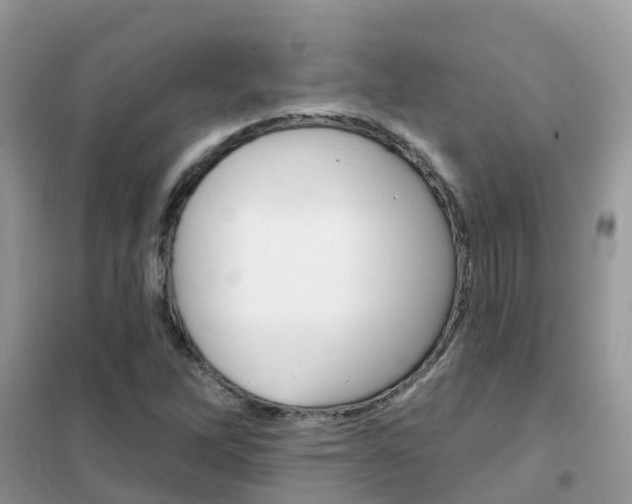 X0000102361262200808010951