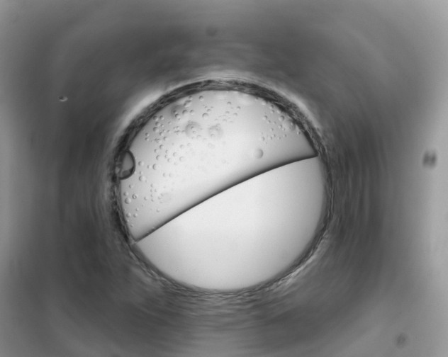 X0000102361263200808010951