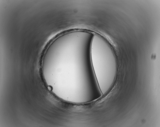 X0000102361264200808010951