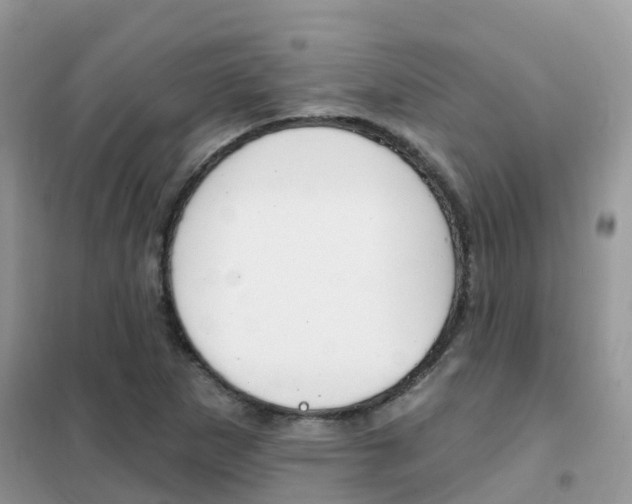 X0000102361265200808010951