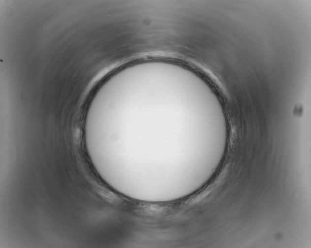X0000102361266200808010951