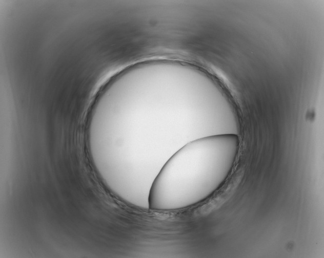 X0000102361267200808010951