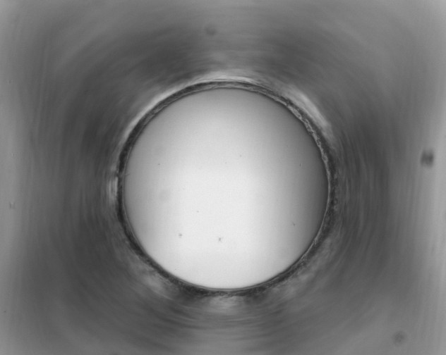 X0000102361268200808010951