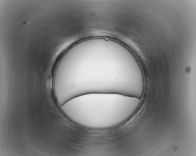 X0000102361269200808010951