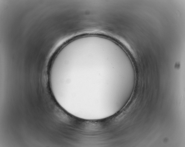 X0000102361270200808010950