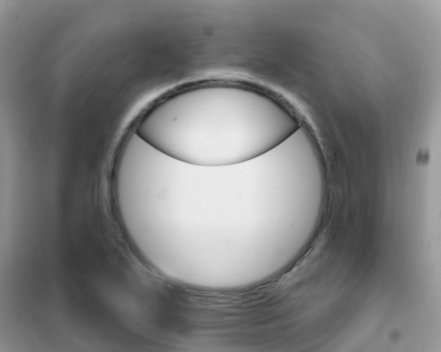 X0000102361271200808010950