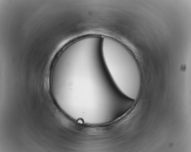 X0000102361272200808010950