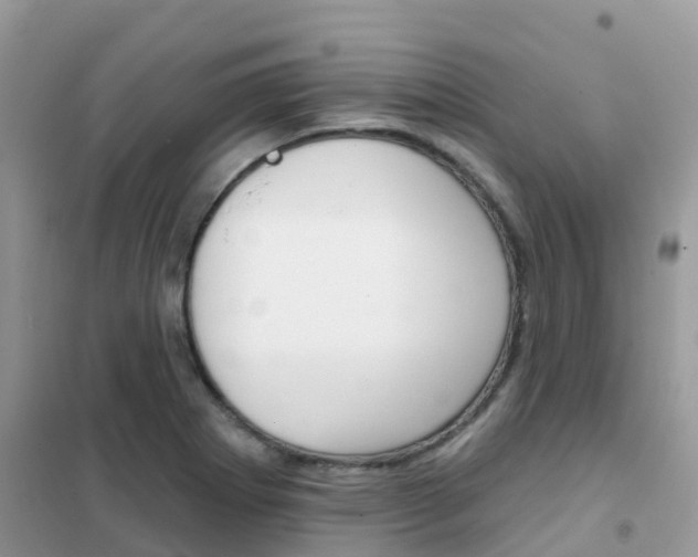 X0000102361273200808010950