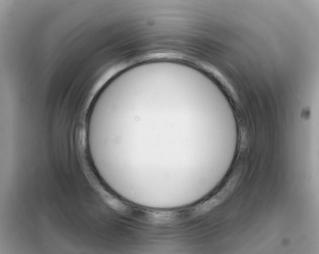 X0000102361274200808010950