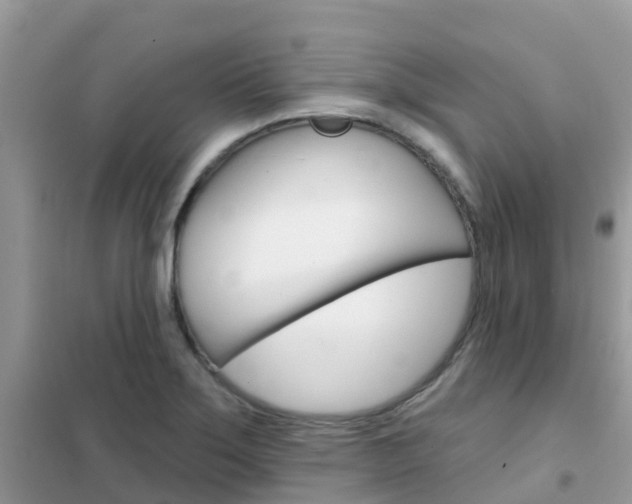 X0000102361275200808010950