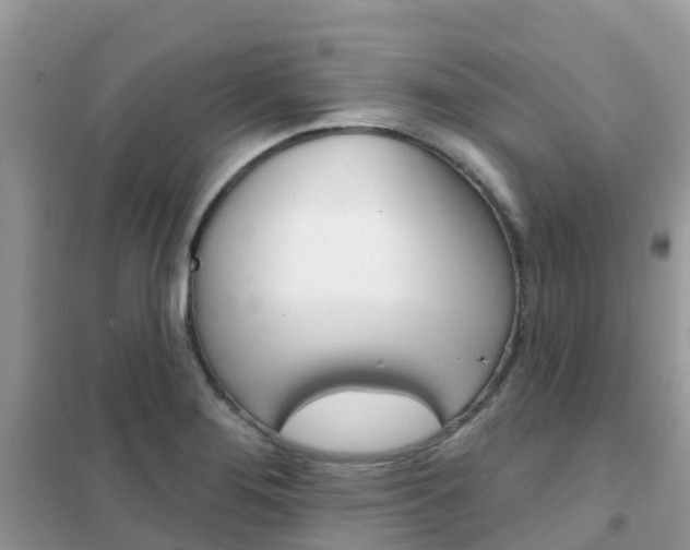 X0000102361276200808010950