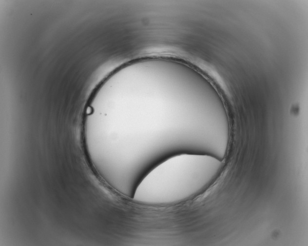 X0000102361277200808010950