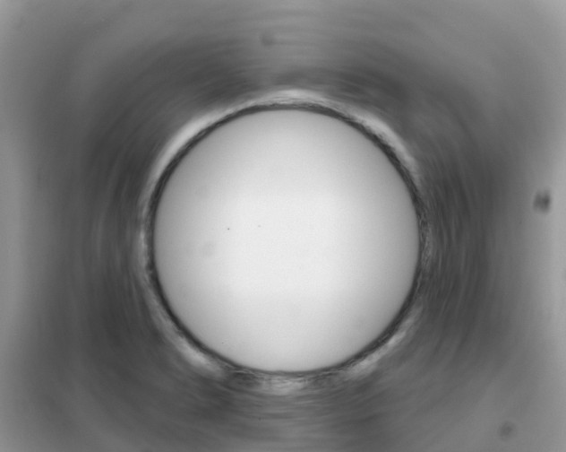 X0000102361278200808010950