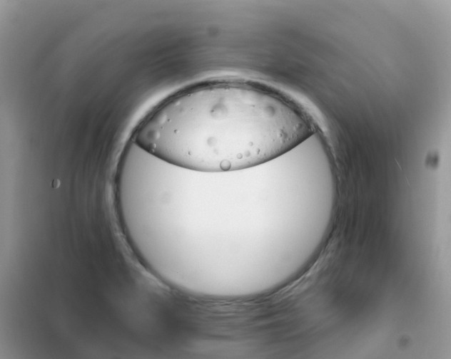 X0000102361279200808010950