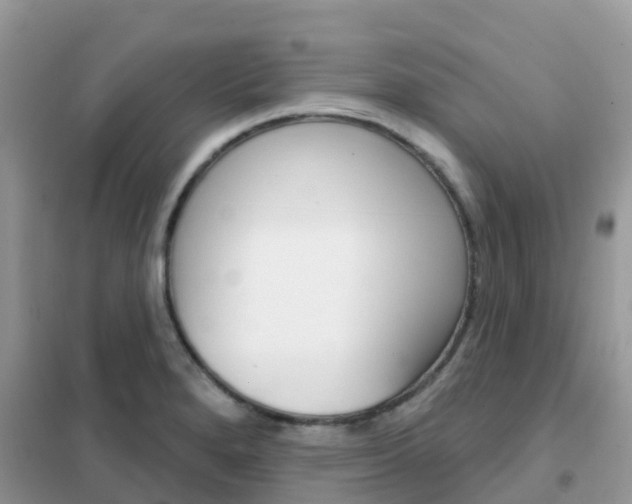 X0000102361280200808010950