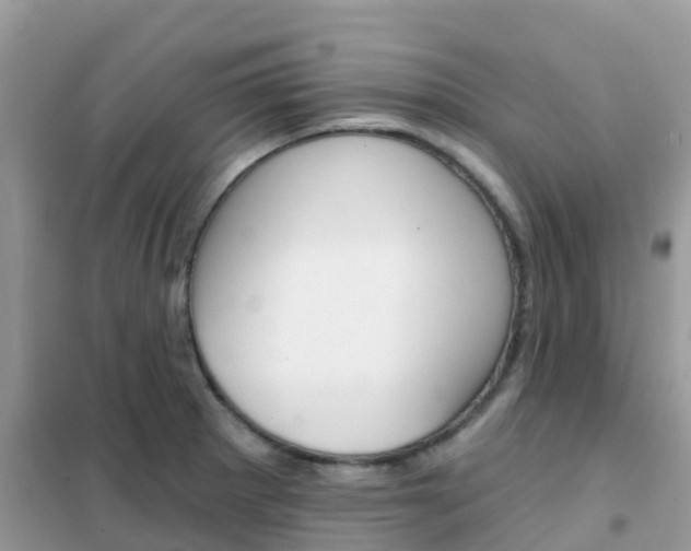 X0000102361281200808010950