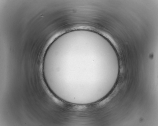 X0000102361282200808010950