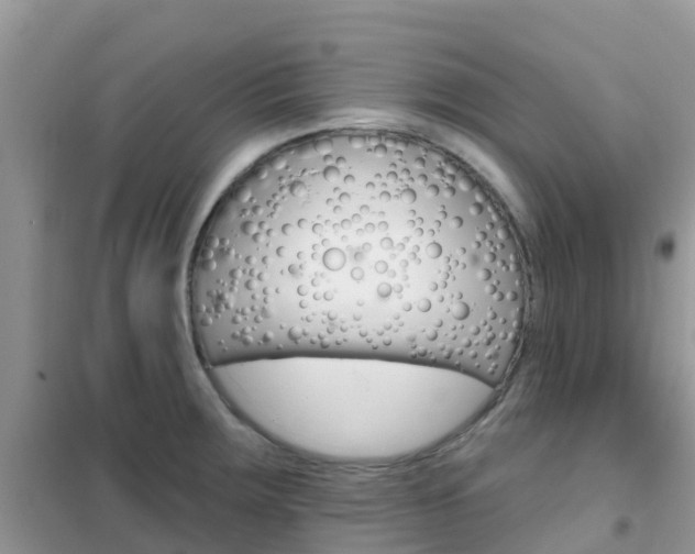 X0000102361283200808010950