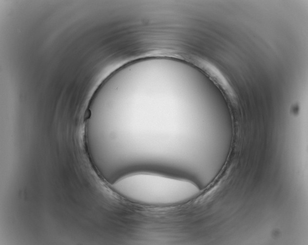 X0000102361284200808010950