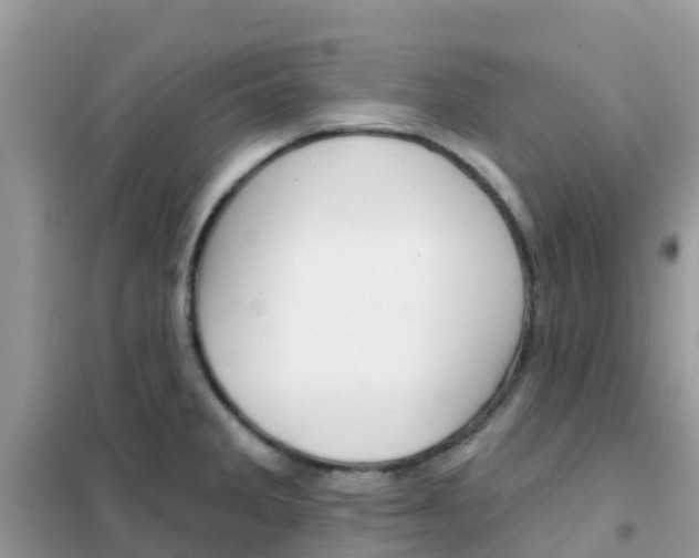 X0000102361285200808010950