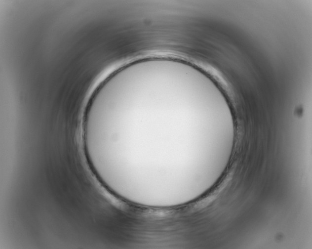 X0000102361286200808010950