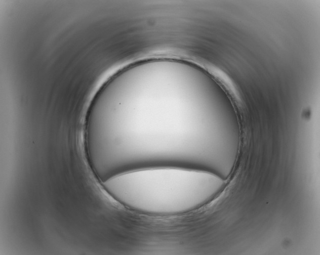 X0000102361288200808010950
