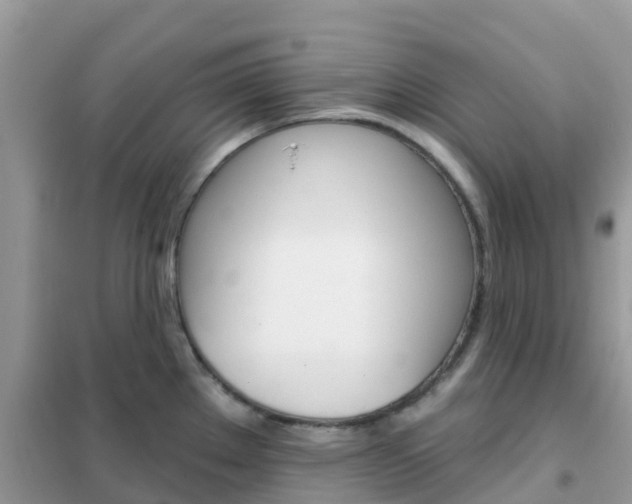 X0000102361289200808010950