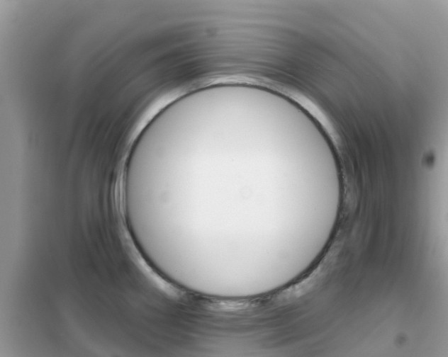 X0000102361290200808010950