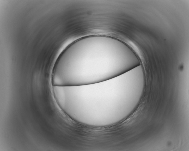 X0000102361291200808010950