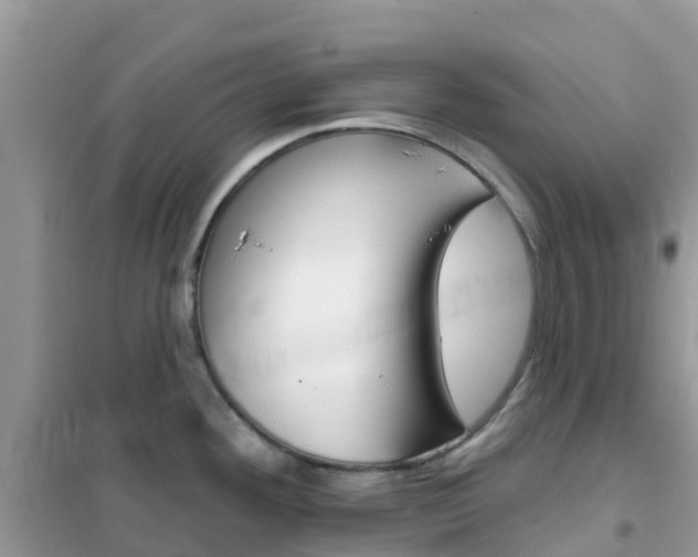 X0000102361292200808010950