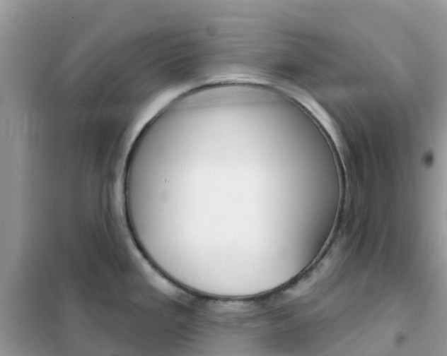 X0000102361293200808010950