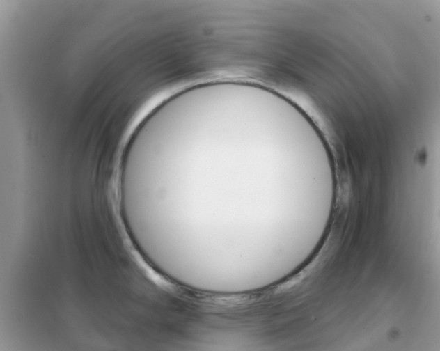 X0000102361294200808010950