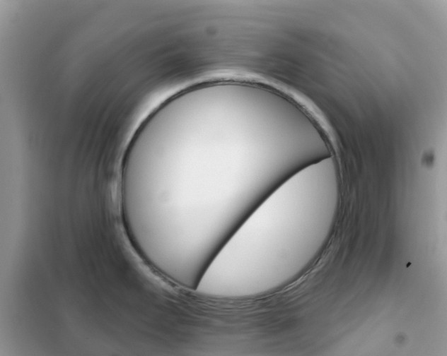 X0000102361295200808010950