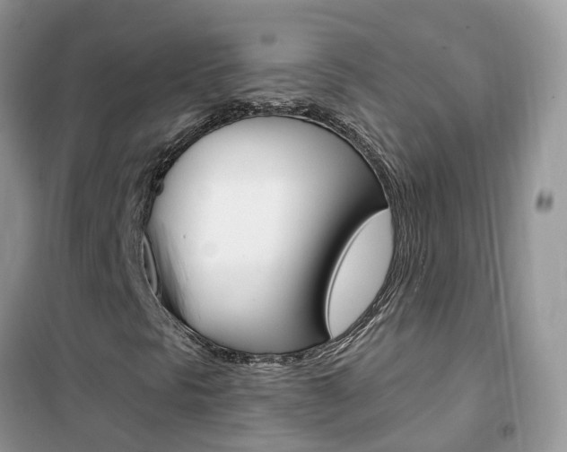 X0000102361297200808010949