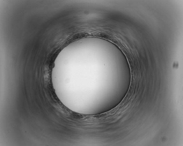 X0000102361298200808010949