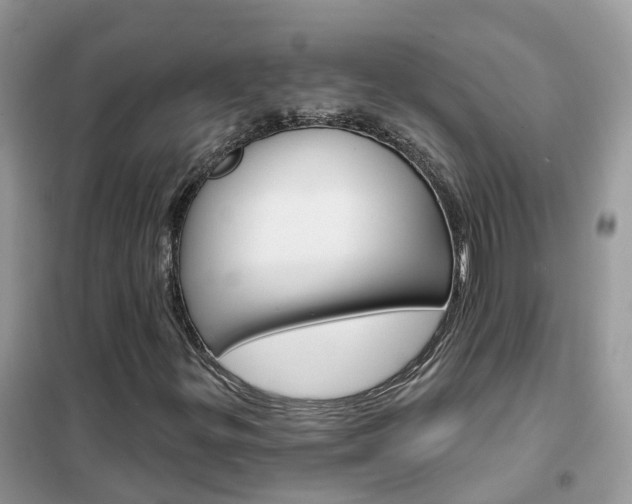X0000102361299200808010949