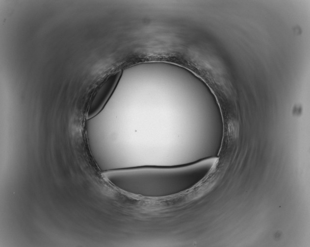 X0000102361300200808010949