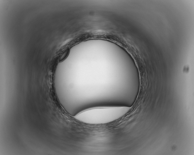 X0000102361301200808010949