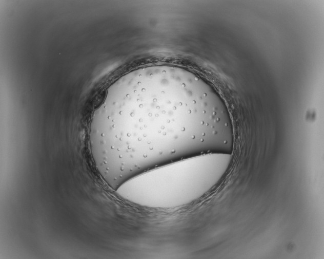 X0000102361302200808010949