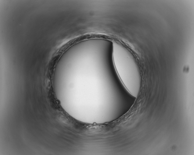X0000102361303200808010949