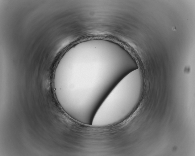 X0000102361306200808010950