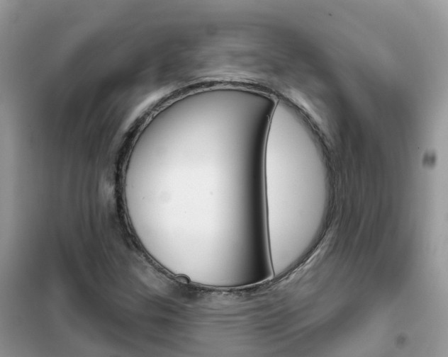X0000102361307200808010950