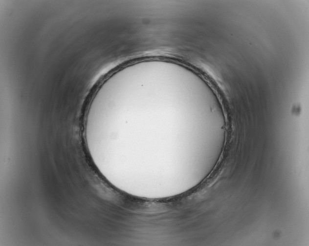 X0000102361308200808010950