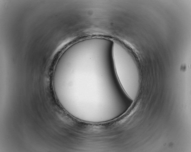 X0000102361309200808010950